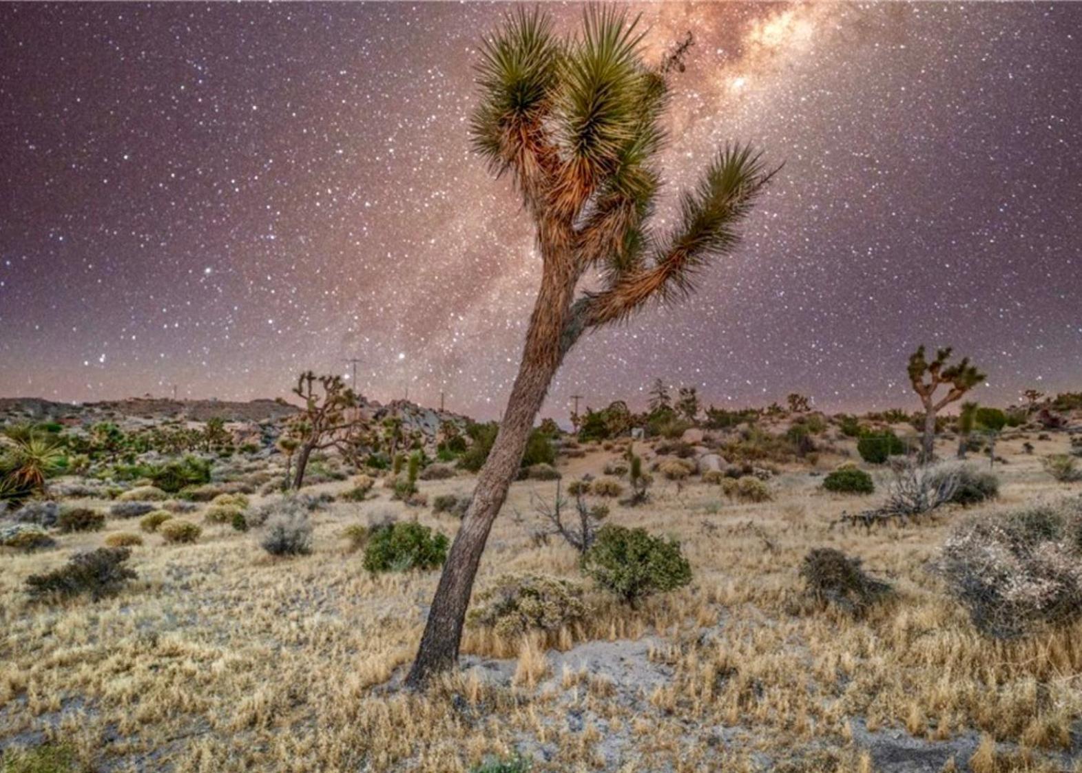 Twin Palms Desert Getaway - Jacuzzi, Fire Pit, Meditation Room & More Joshua Tree Exterior foto